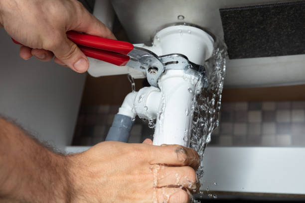 Best Professional water damage repair  in Zachary, LA