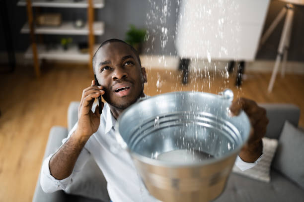 Best Basement water damage restoration  in Zachary, LA
