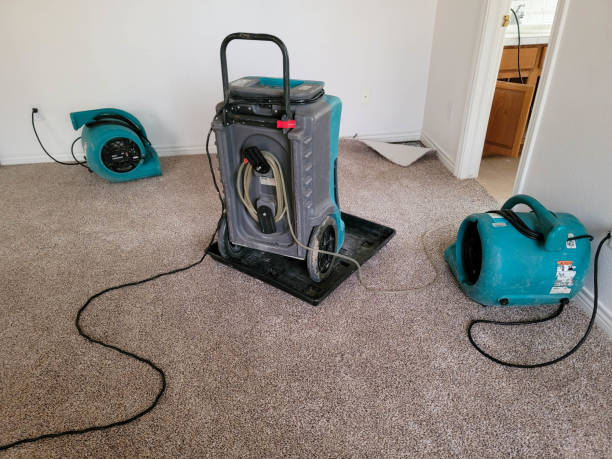 Best Ceiling water damage repair  in Zachary, LA
