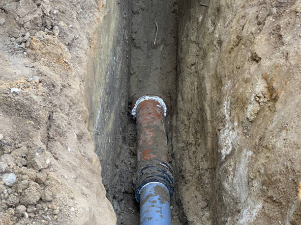 Best Sewage cleanup and water damage restoration  in Zachary, LA
