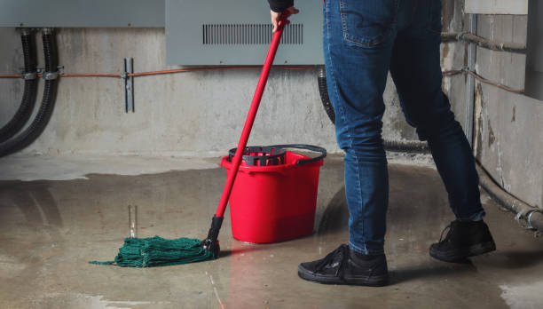 Best Mold removal after water damage  in Zachary, LA