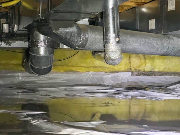 Best Local water damage restoration  in Zachary, LA