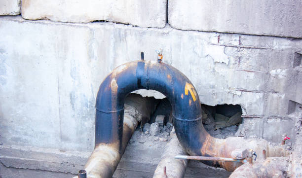 Best Basement water damage restoration  in Zachary, LA