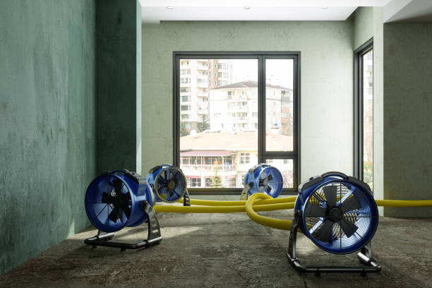 Trusted Zachary, LA Water damage restoration Experts