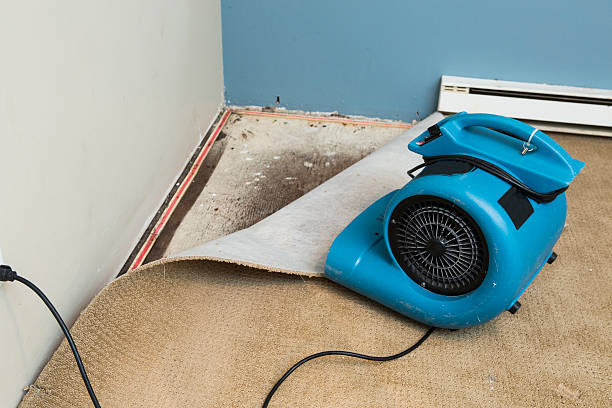 Best Emergency water damage restoration  in Zachary, LA